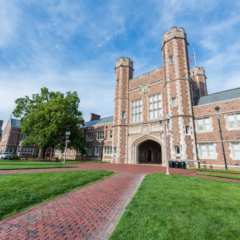 Washington University in St. Louis