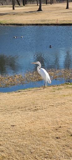 Golf Course «Prairie Lakes Golf Course», reviews and photos, 3202 SE 14th St, Grand Prairie, TX 75052, USA