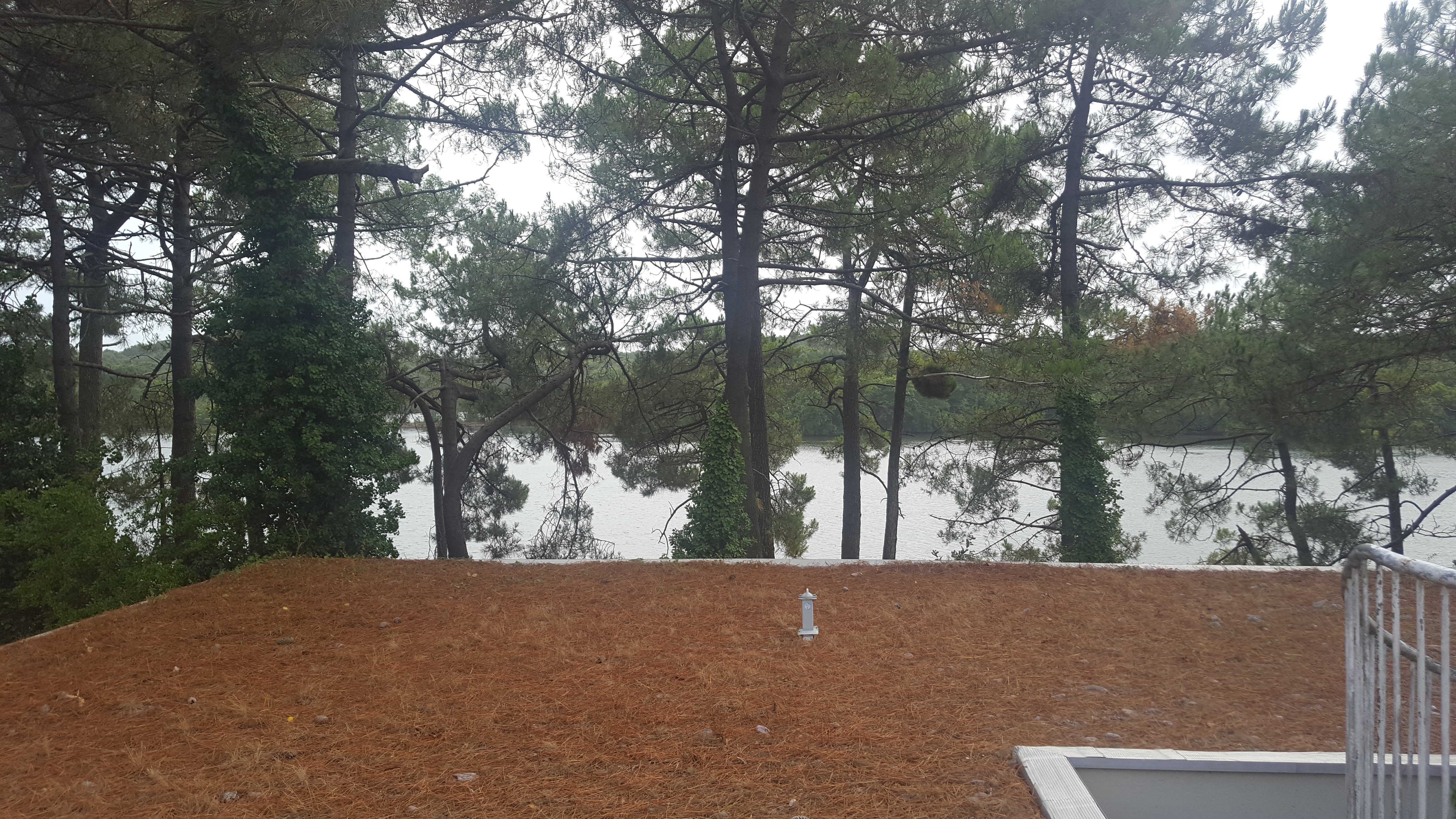Photo n° 1 de l'avis de Roland.r fait le 19/08/2019 à 10:59