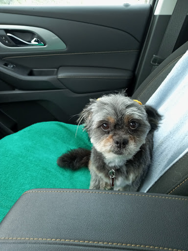 Pet Supply Store «PetSmart», reviews and photos, 7574 Voice of America Centre Dr, West Chester Township, OH 45069, USA