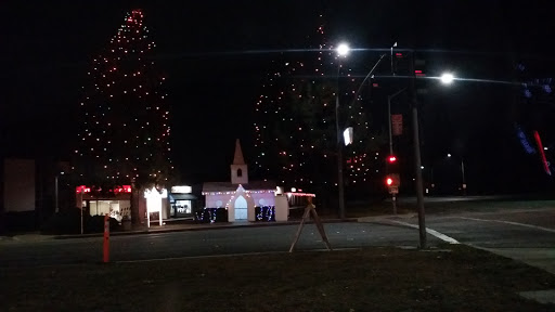 Tourist Attraction «Christmas Tree Lane», reviews and photos, Santa Rosa Ave, Altadena, CA 91001, USA