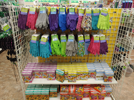 Dollar Store «Dollar Tree», reviews and photos, 10730 SE 82nd Ave, Happy Valley, OR 97086, USA