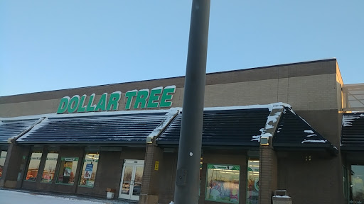 Dollar Store «Dollar Tree», reviews and photos, 2401 Fairview Ave N, Roseville, MN 55113, USA