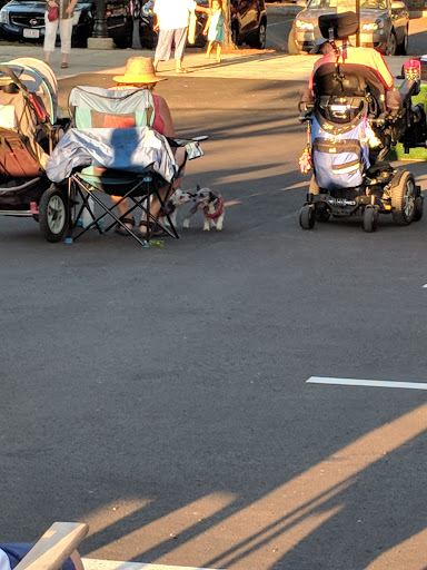 Tobacco Shop «Tobacco Barn», reviews and photos, 53 Elm St #2, Westfield, MA 01085, USA