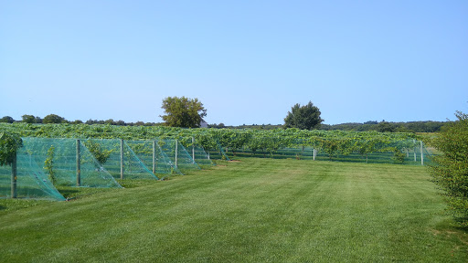 Winery «River Bend Vineyard & Winery», reviews and photos, 10439 33rd Ave, Chippewa Falls, WI 54729, USA