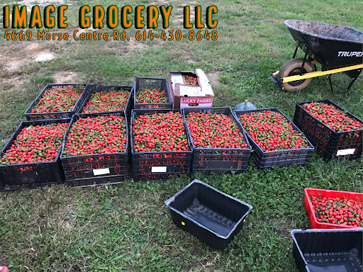 Asian Grocery Store «Image Grocery LLC», reviews and photos, 4669 Morse Centre Rd, Columbus, OH 43229, USA