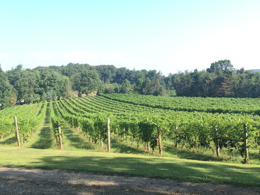 Winery «Halbrendt Vineyard & Winery», reviews and photos, 1150 Evergreen Way, Orrtanna, PA 17353, USA
