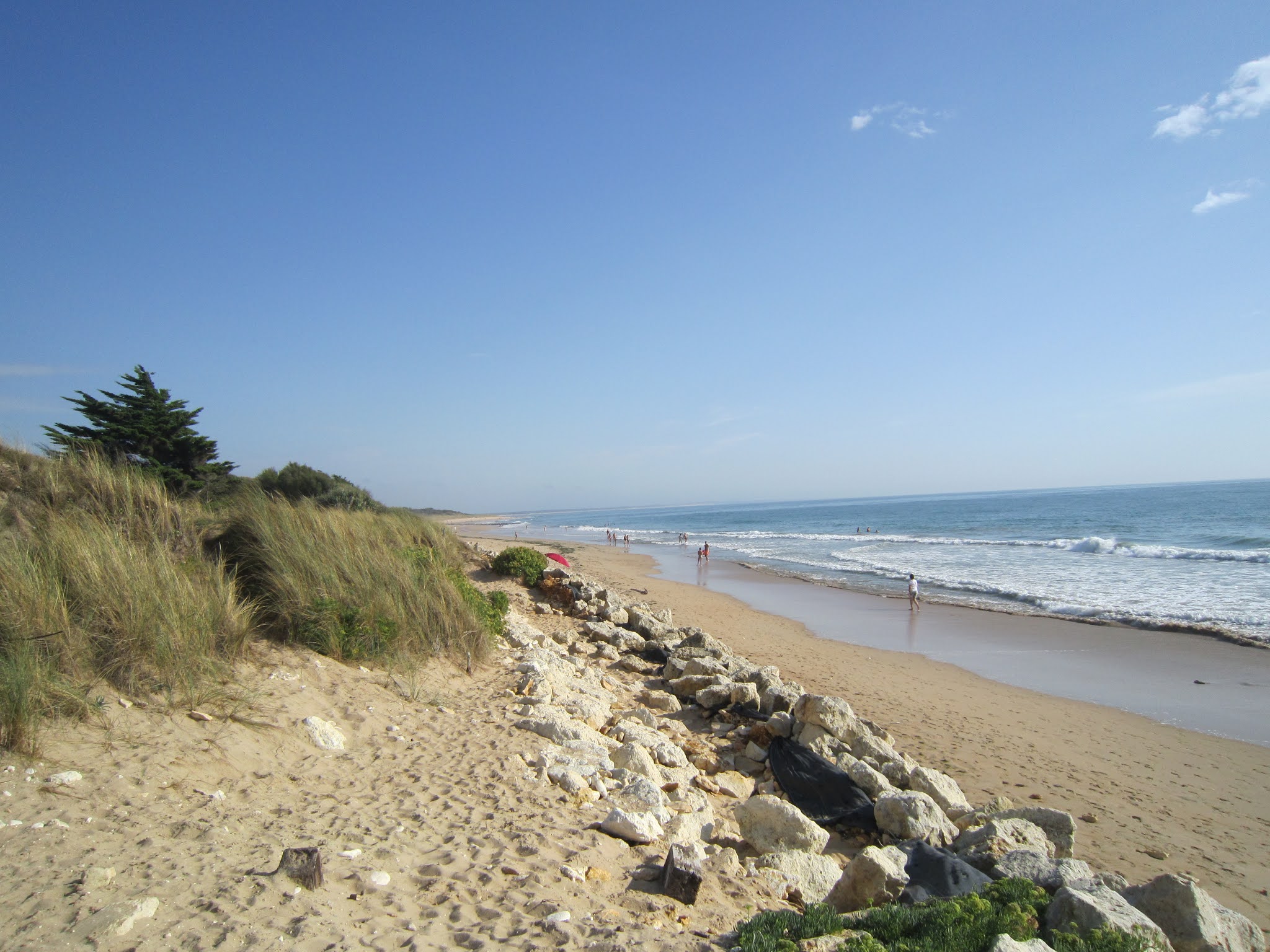 Photo n° 1 de l'avis de Frank.e fait le 15/10/2020 à 16:30
