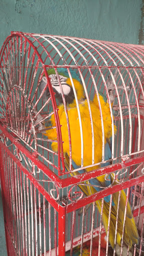 Pet Store «Pet Source 1901», reviews and photos, 1901 W 8th St B, Los Angeles, CA 90057, USA