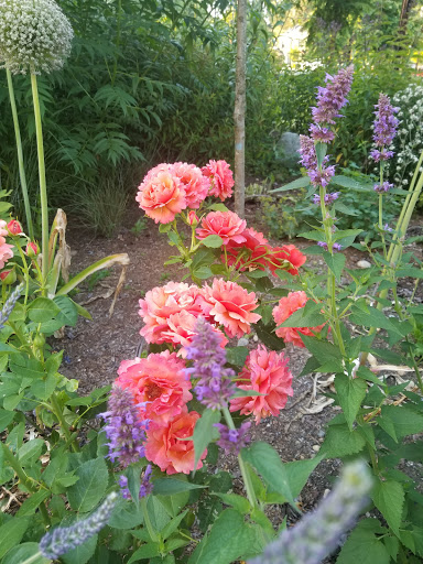 Hotel «McMenamins Anderson School», reviews and photos, 18607 Bothell Way NE, Bothell, WA 98011, USA