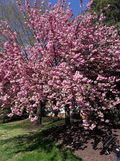 Public Golf Course «The Crossings Golf Club», reviews and photos, 800 Virginia Center Pkwy, Glen Allen, VA 23059, USA