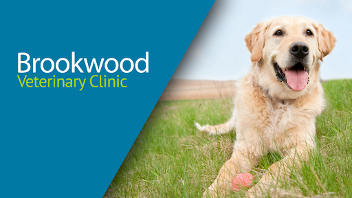 Brookwood Veterinary Clinic image