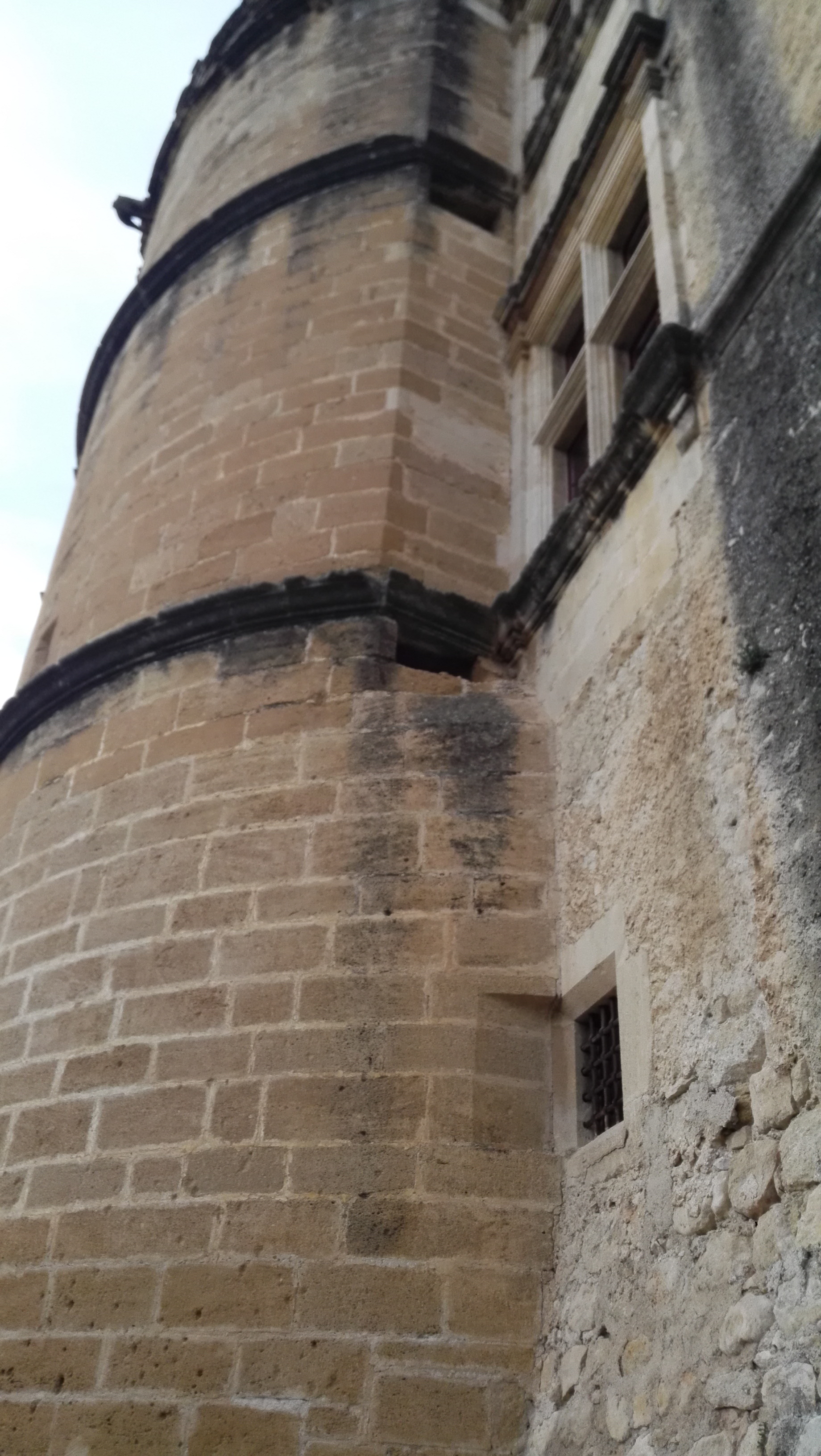 Photo n° 2 de l'avis de Caille. fait le 30/04/2018 à 22:18