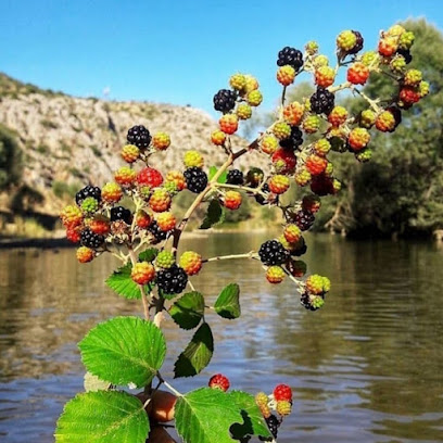 Sağlık Kaplıcası