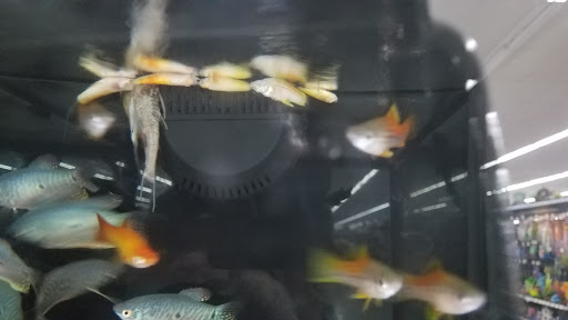 Discount Store «Walmart», reviews and photos, 8155 Elliott Rd, Easton, MD 21601, USA