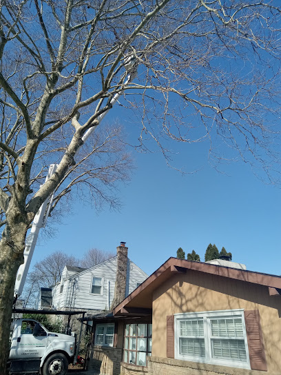ECO Tree service