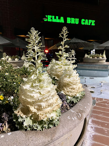 Cafe «Bella Bru Cafe», reviews and photos, 3941 Park Dr #70, El Dorado Hills, CA 95762, USA