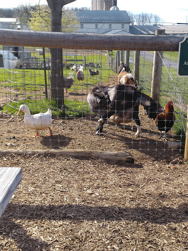 Supermarket «ALDI», reviews and photos, 105 N 11th Ave, Lebanon, PA 17046, USA