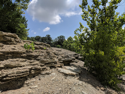 Park «Trammel Fossil Park», reviews and photos, Tramway Dr, Sharonville, OH 45241, USA