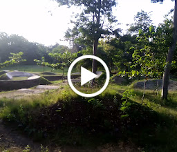 JET BIKE & SKATE PARK photo