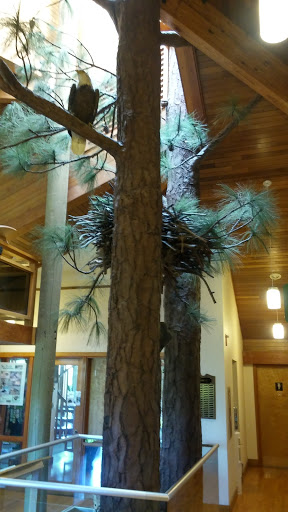 Community Center «Campbell Community Center», reviews and photos, 701 South St, Titusville, FL 32780, USA