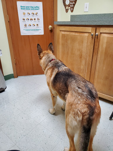 Moreland Veterinary Hospital image