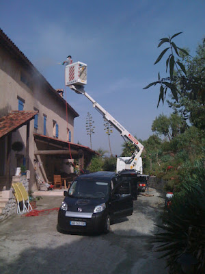 Pest Control Services à Nice