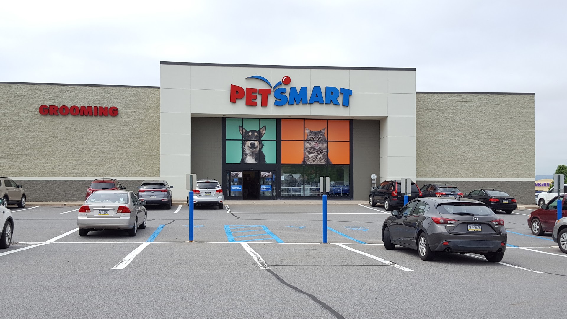 PetSmart