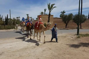 Morocco Travel Services | Morocco Tours image