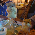 Photo n°1 de l'avis de Simone.. fait le 16/06/2021 à 20:20 sur le  Kneipe Nordlicht à Langeoog