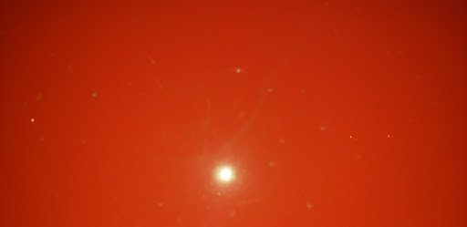 Car Dealer «Andy Mohr Honda», reviews and photos, 1441 Liberty Dr, Bloomington, IN 47403, USA