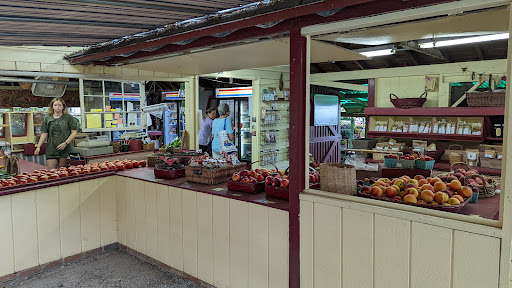 Crane Farm, 270 S Maple Ave, Basking Ridge, NJ 07920, USA, 