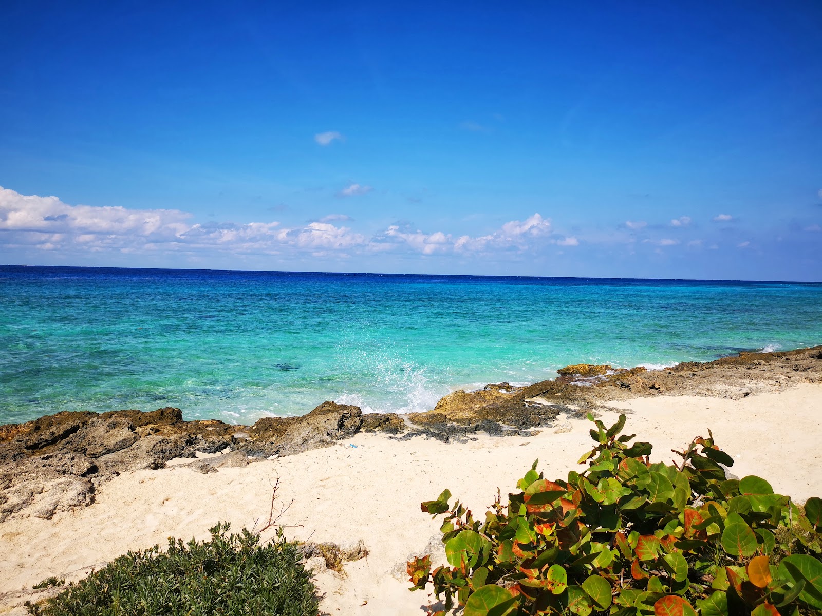 Playa las Rocas的照片 带有碧绿色纯水表面