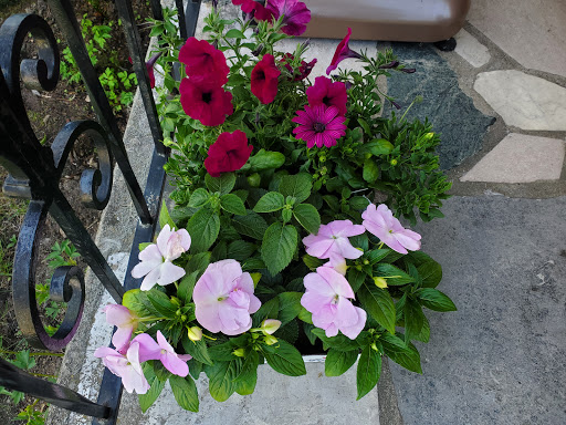 Florist «Park Place Florist and Garden Center», reviews and photos, 72 Park St, Rutland, VT 05701, USA