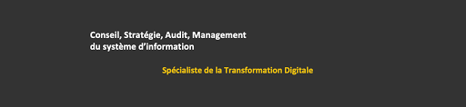 AM Consulting – Prestataire service informatique à Lyon - Expert PME et ETI : DSI à temps partagé, Conseil en stratégie numérique, Audit système d'information, Gestion de projet informatique, Management du SI, Recrutement DSI