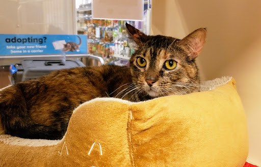 Pet Supply Store «PetSmart», reviews and photos, 5401 N Garland Ave, Garland, TX 75040, USA