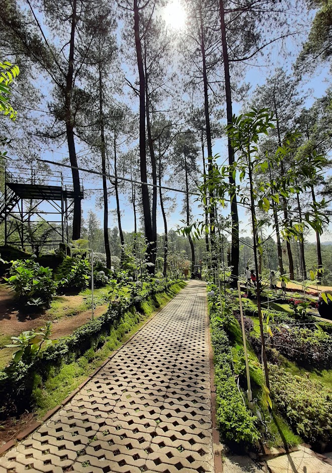 Tempat Wisata Orchid Forest Cikole Lembang Bandung