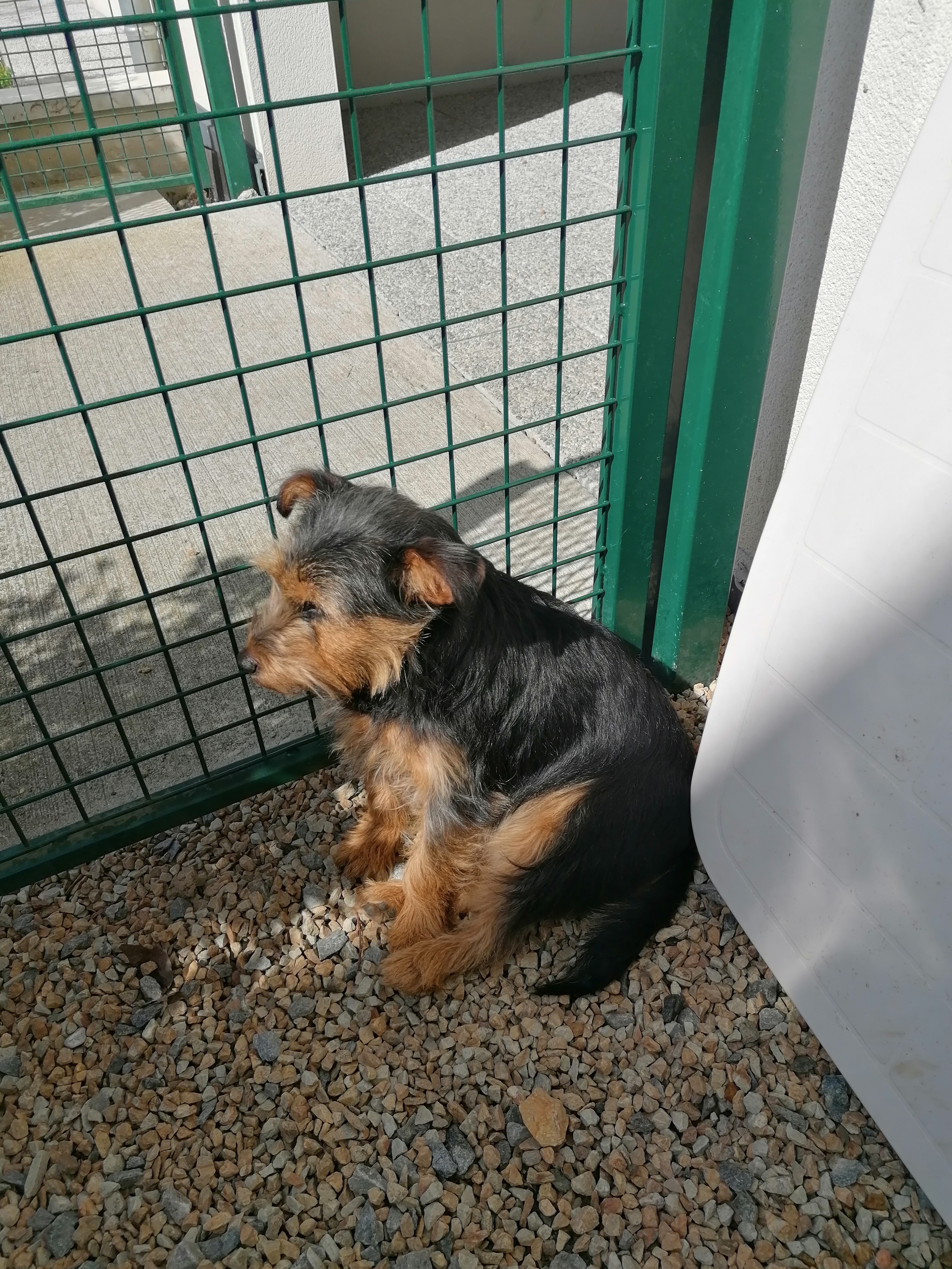 Photo n° 2 de l'avis de Karine.l fait le 23/04/2021 à 14:58