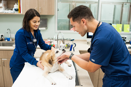 Fetch Specialty & Emergency Veterinary Centers - Greenville, SC image