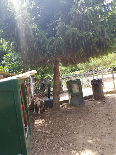 Dog Park «Forest Park Dog Run», reviews and photos, 8445 Park Ln S, Woodhaven, NY 11421, USA