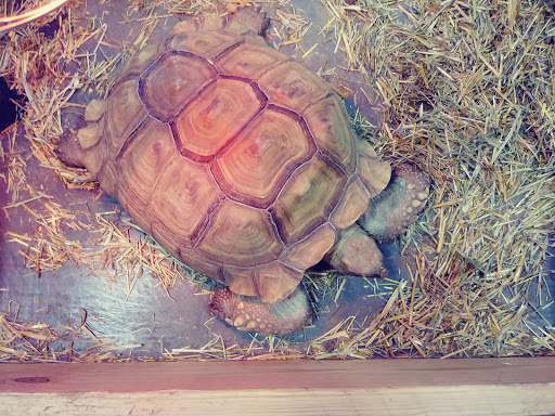 Pet Groomer «We Lov Pets», reviews and photos, 3853 Northpointe Dr, Zanesville, OH 43701, USA