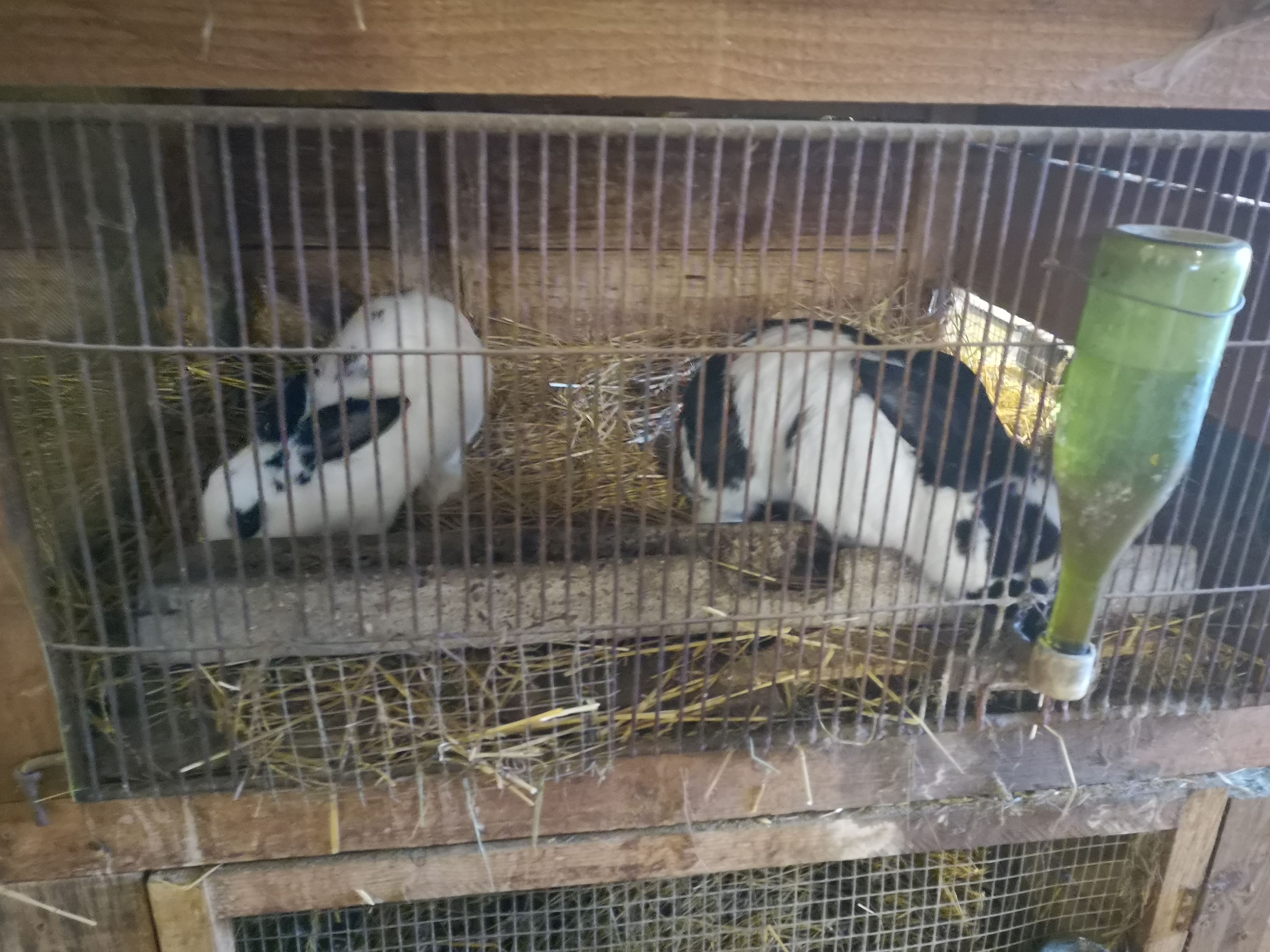 Photo n° 5 de l'avis de Joëlle.a fait le 22/02/2020 à 10:40