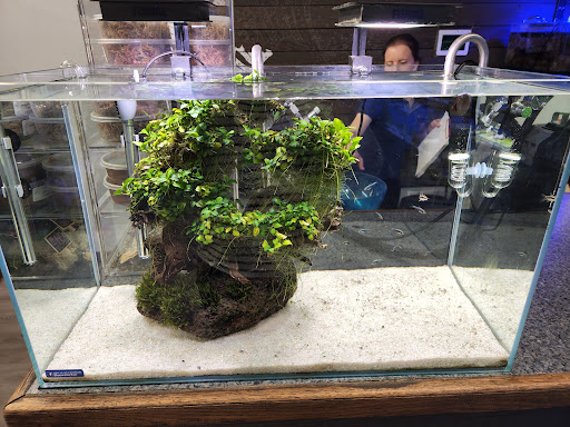 Pet Store «Bluewater Zoo Exotic Aquariums & Reptiles», reviews and photos, 159 Miracle Strip Pkwy SE, Fort Walton Beach, FL 32548, USA