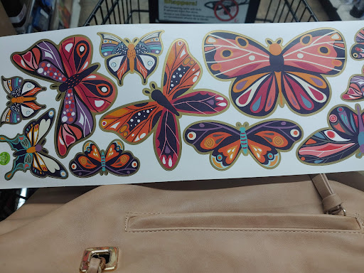 Dollar Store «Dollar Tree», reviews and photos, 5260 Randolph Rd, Rockville, MD 20852, USA