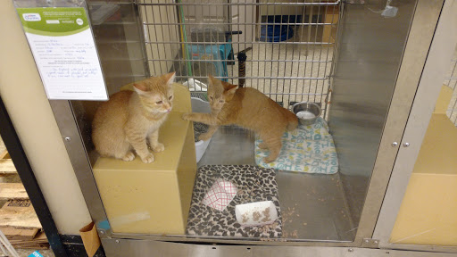 Pet Supply Store «PetSmart», reviews and photos, 310 NJ-36, West Long Branch, NJ 07764, USA