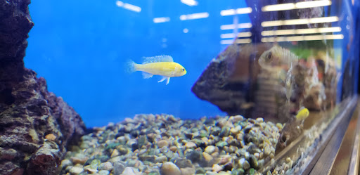 Pet Supply Store «Petco», reviews and photos, 3434 Court St, Pekin, IL 61554, USA