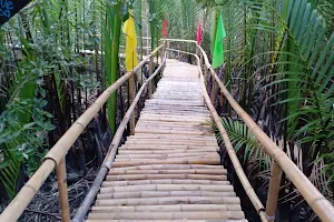 Olo-Olo Mangrove Forest and Eco Park image