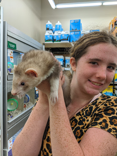 Pet Supply Store «Pet Supplies Plus», reviews and photos, 1155 Washington Pike, Bridgeville, PA 15017, USA