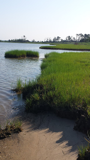 General Store «Cherrystone Resort Store», reviews and photos, 1357 Townfield Dr, Cape Charles, VA 23310, USA