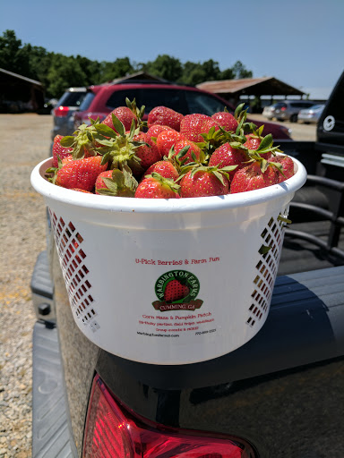 Farm «Warbington Farms (U-Pick Strawberries)», reviews and photos, 5555 Crow Rd, Cumming, GA 30041, USA